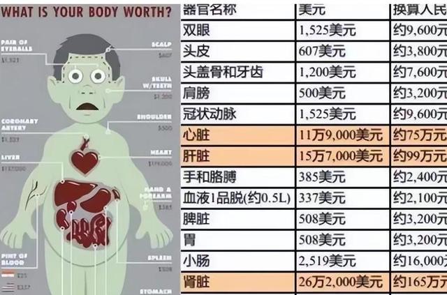 美国的人体买卖,究竟有多疯狂?