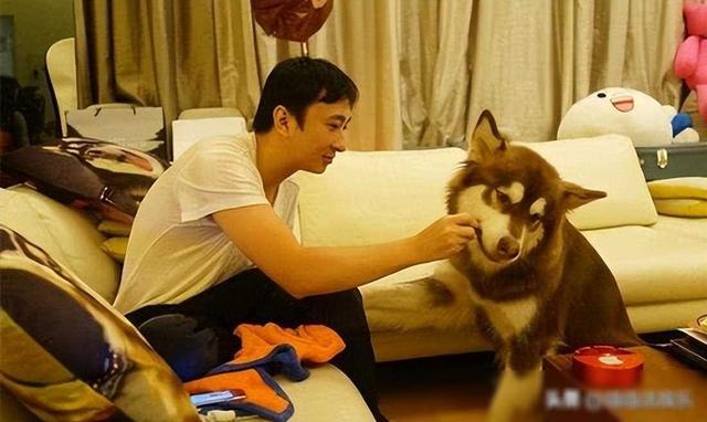 华晨宇:我爸华福雄身价100亿,王思聪:我爸王健林,身价11