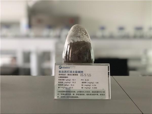 水稻育种接力60年:一粒种子帮国人告别饥饿