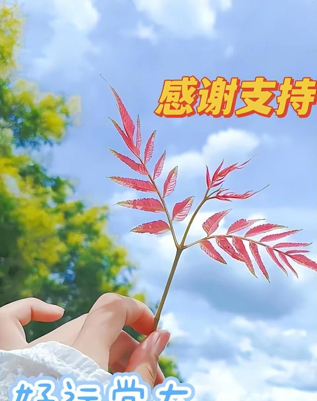 推荐:10部超好看的“农村题材电视剧”榜单,淳朴有爱的烟火气