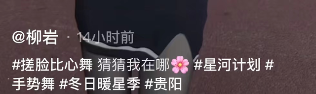 柳岩行为惹争议!穿黑丝打扮清凉街头热舞,路人疑惑走过无人识