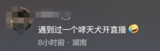 假的!不是我!“哮天犬”扮演者急了