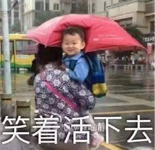全明星阵容演绎汉末版《猎场》（一）