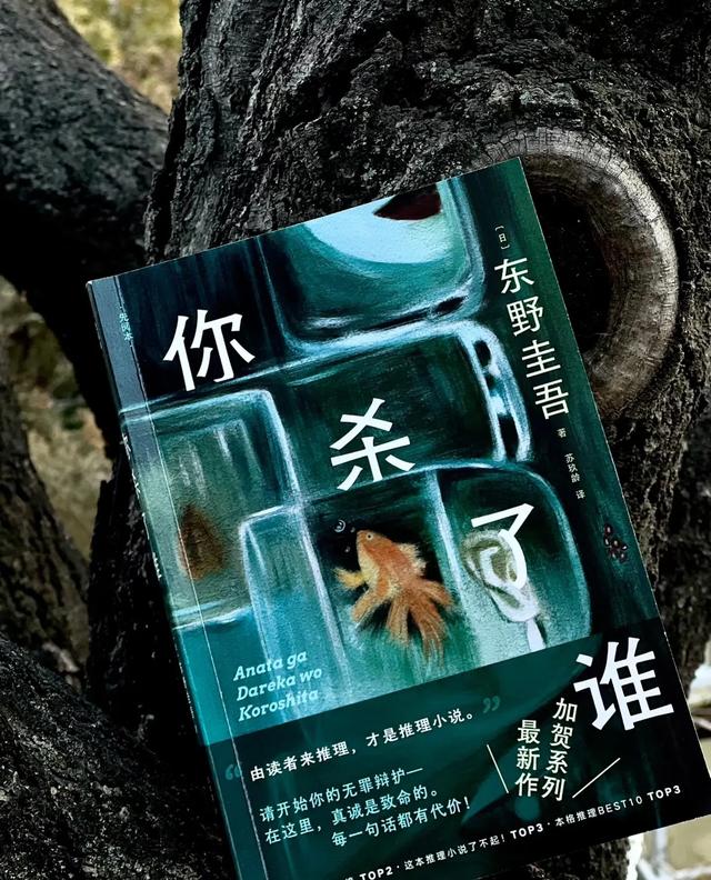 《谁杀了她》东野圭吾作品—读书笔记