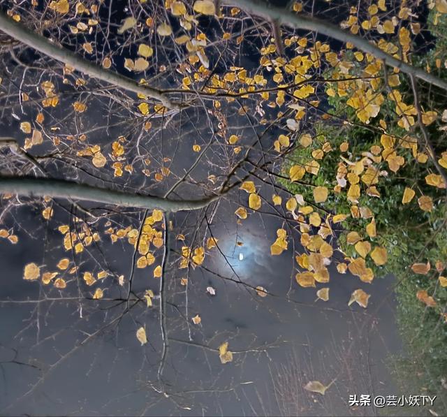 梦醒于午夜两点半