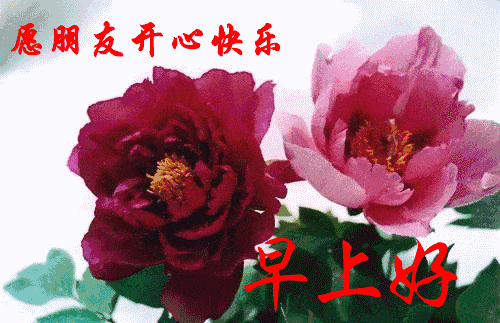 有口难言,不如不言 ;百口难辩,不如不辩,早安