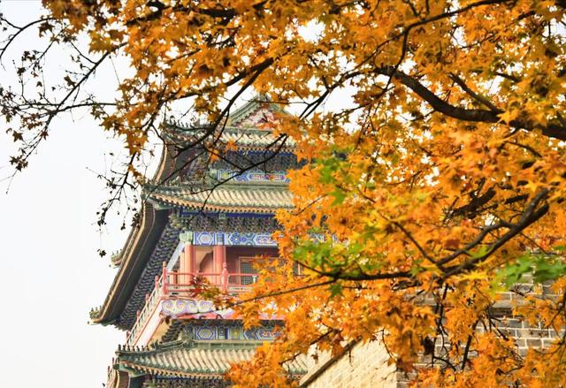 河北香河:斑斓秋色,精致小景