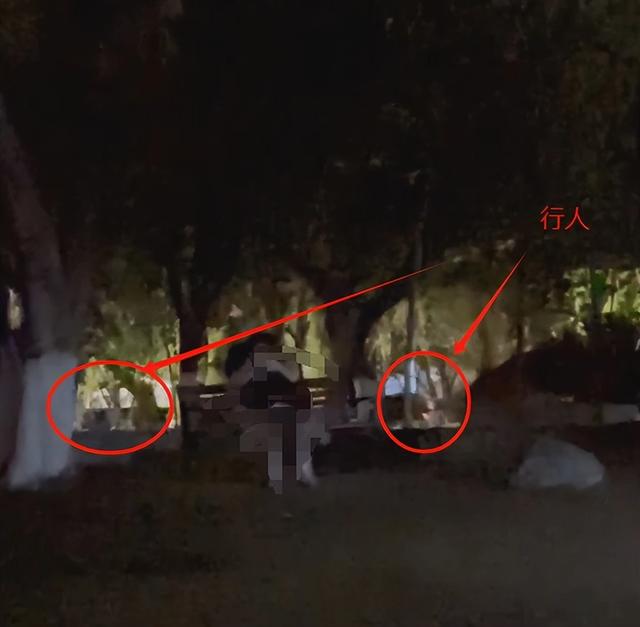高校一对情侣校园长椅上激情互动, 被拍下全过程, 保安迅速撤走长椅