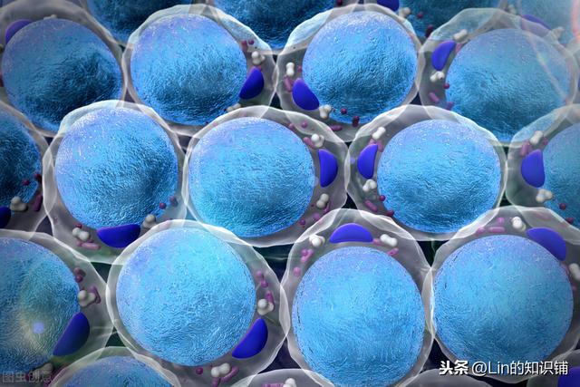 12个冷知识:日常很少能用到,但却真实存在