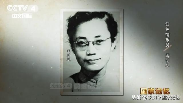 她奉命潜伏台湾，获取兵要地志图，归来时只有一捧骨灰
