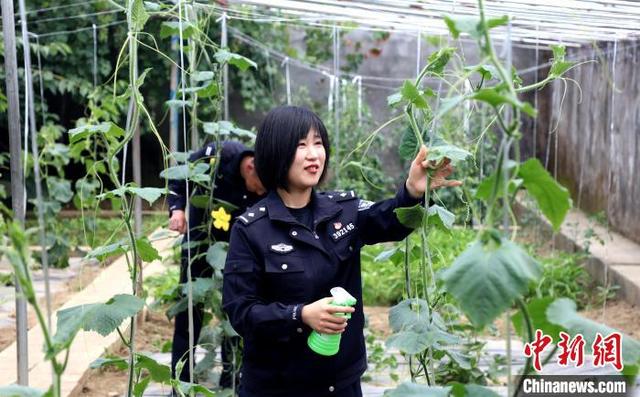 西藏戍边女民警李冬雪:有爱就没有远方