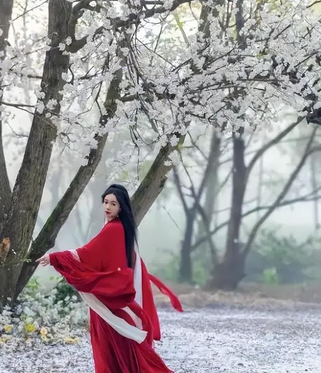 楚乔传2开机,主演换血新人演员,墨雨云间导演执导