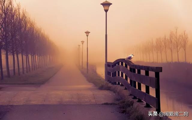 总是喜欢和你暧昧,又不愿意正式在一起,无外乎这几种心理