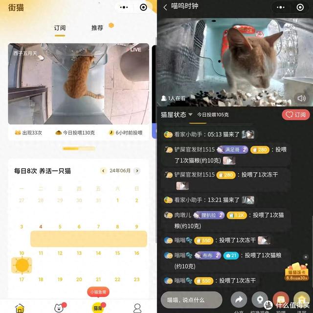 小成本搭载“街猫”同款，需要这些设备