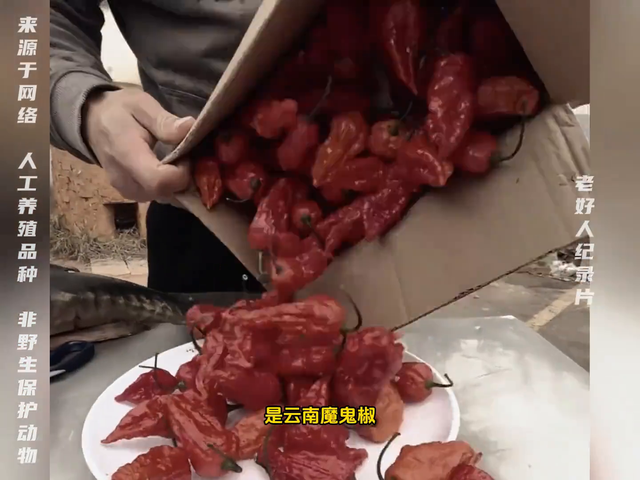 刚哥直播界一股清流值得粉丝朋友信任