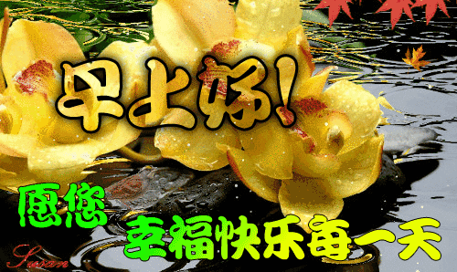有口难言,不如不言 ;百口难辩,不如不辩,早安