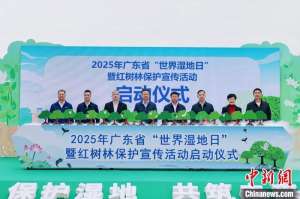 广东约95%红树林纳入生态保护红线管理