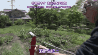 日本居然也有“陶渊明”?《人生果实》这真的是“向往的生活”了