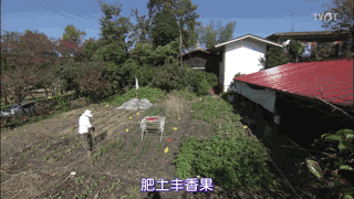 日本居然也有“陶渊明”?《人生果实》这真的是“向往的生活”了