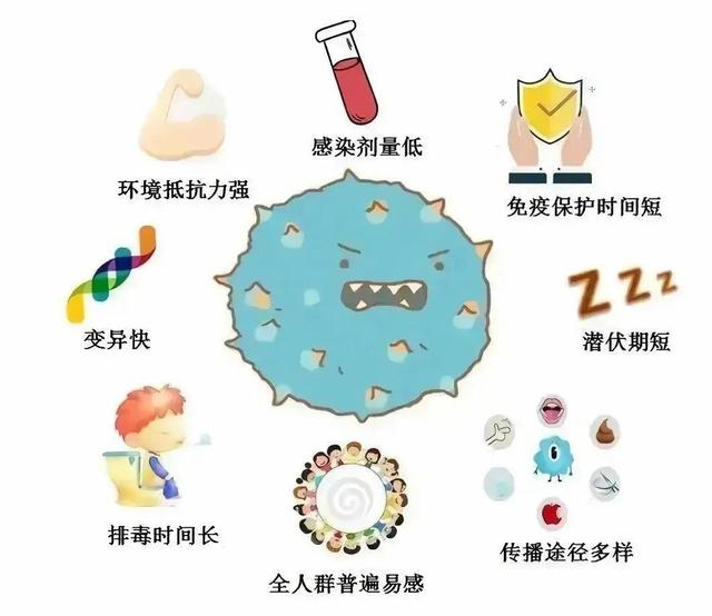注意!这种病毒传染性强,易在学校集中暴发……