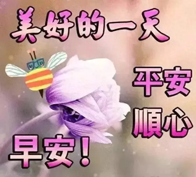有口难言,不如不言 ;百口难辩,不如不辩,早安