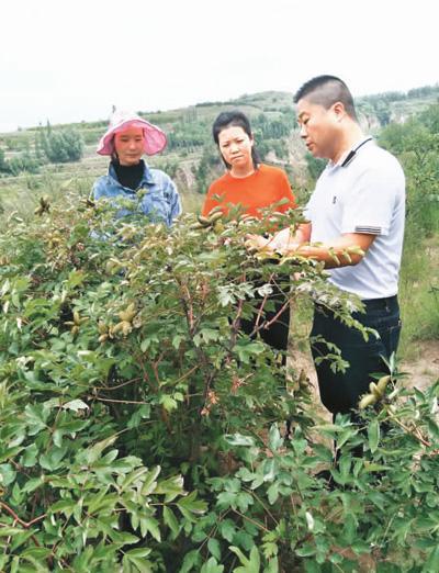 宁夏固原“闽宁对口扶贫协作”纪事：缚住贫困苍龙