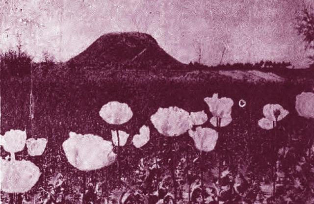 1945年，北京、广州等地汉奸被处决真实录像，临刑前汉奸哭喊求饶