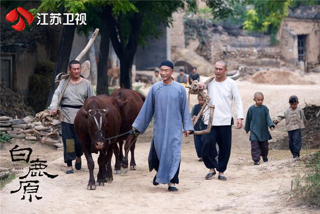 张嘉译：在履历上写《白鹿原》对我是巨大的诱惑