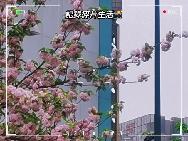 少年锦时