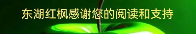 元载荐书