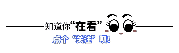 韩国大尺度电影《小姐》：探寻人性与情感的多面性