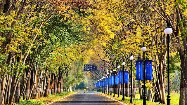 河北香河:斑斓秋色,精致小景