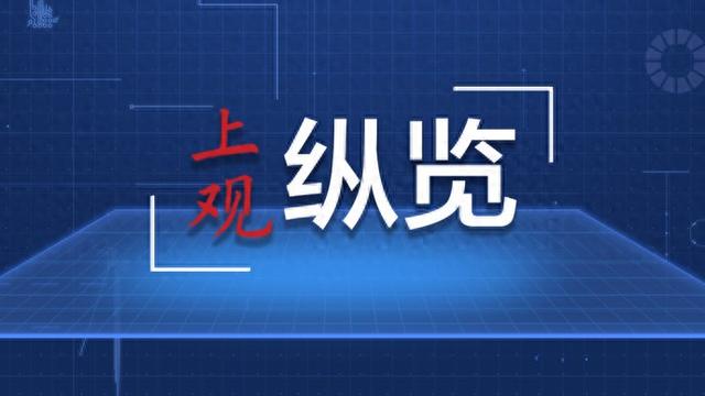 林梦：把握服务业高水平开放着力点