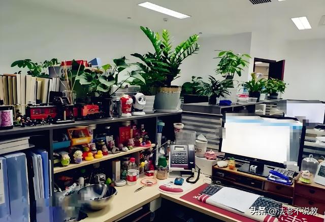 从歌唱家到囚犯！“落马老虎”的情妇罗菲，如何一步步自毁的？