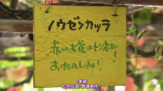 日本居然也有“陶渊明”?《人生果实》这真的是“向往的生活”了