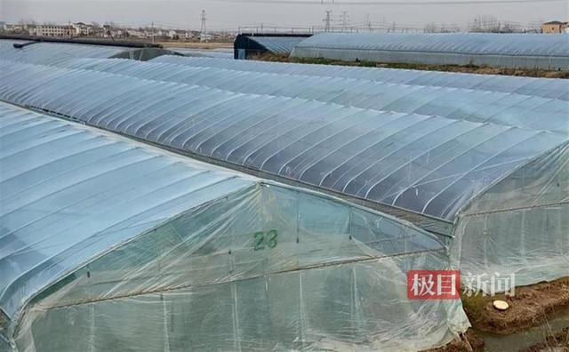 回到家乡襄阳，他带着千万家产唱响“田园之歌”