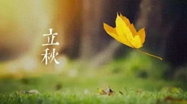 静能生慧,智者无忧