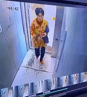开怀大笑，50张搞笑动图：刚换办公室，选哪个位置好？