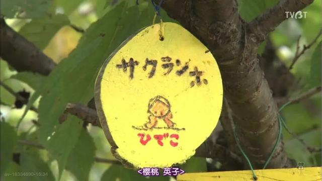 日本居然也有“陶渊明”?《人生果实》这真的是“向往的生活”了