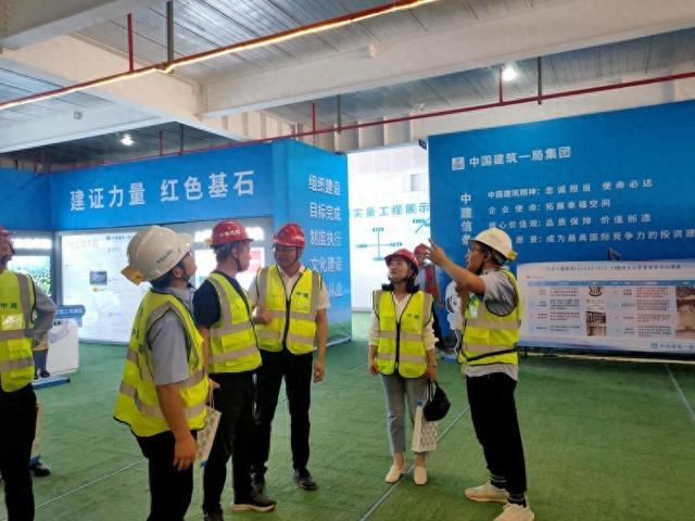 项目迎来建筑业行业协会观摩团