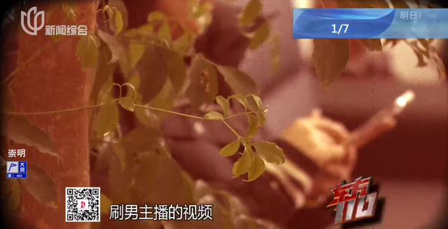 情绪价值到底值多钱,43岁上海女子酒吧找00后男模,3个月花完450万公款!被抓后想到了儿子
