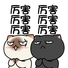 闵行这个市集来啦！首发惊喜，今晚就约