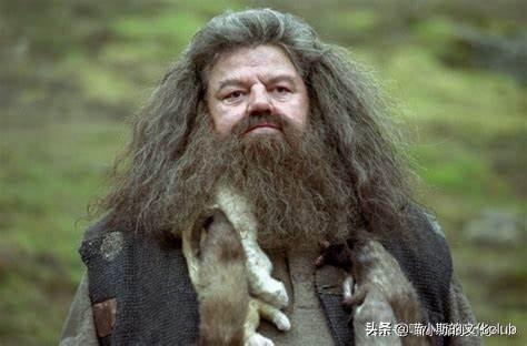 《哈利波特》:梅林的胡子!魔法世界的三大感叹词
