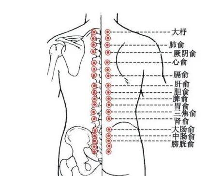 小满即安,健脾化湿正当时