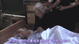 日本居然也有“陶渊明”?《人生果实》这真的是“向往的生活”了