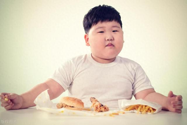 小男孩别太胖,小心引起睾丸发育障碍!