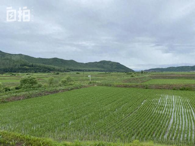 我,北漂十年,30岁回东北农村卖大米,治好了100万人的乡愁