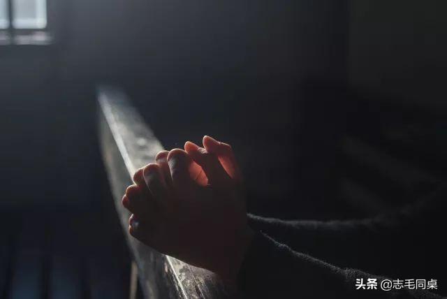 “杨紫小姐姐,离开娱乐圈吧”