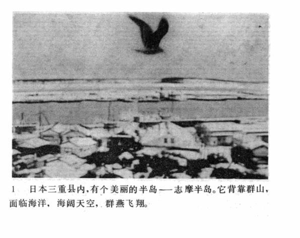 经典电视剧《阿信》第一集