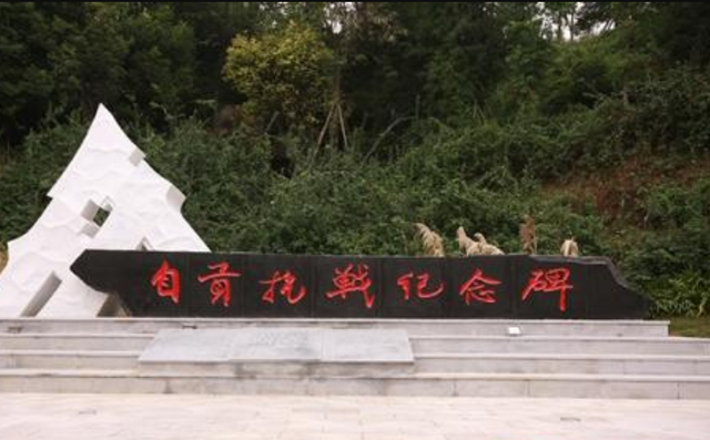 自贡市人大常委会原副主任陈星生:祝《华西都市报》生日快乐!感谢你们记录我的故事|拾光礼盒